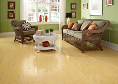Dream Home St. James 12mm+pad Horizontal Natural Bamboo Laminate Lumber Liquidators Flooring Co.
