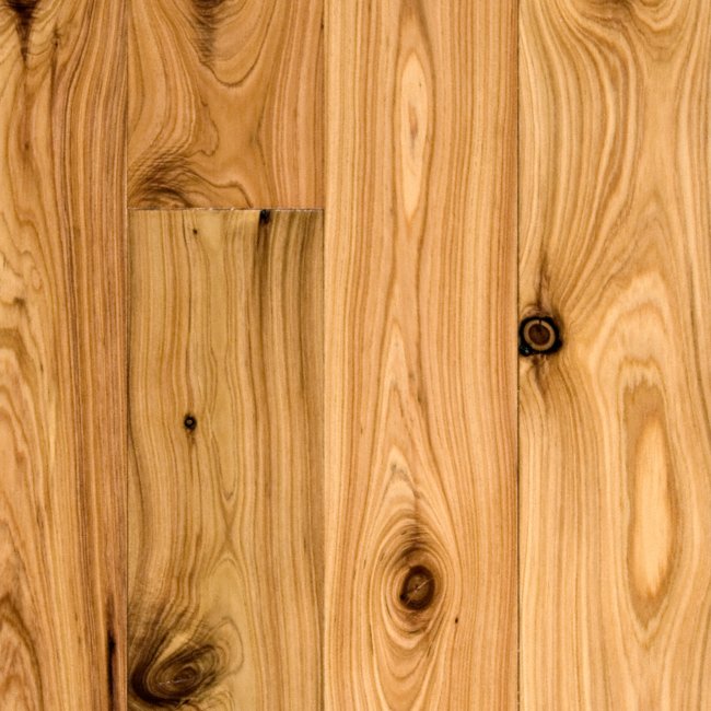 Bellawood 1 2 X 3 1 4 Natural Australian Cypress Lumber