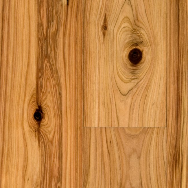 Bellawood 3 4 X 5 1 4 Natural Australian Cypress Lumber