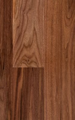 3/4" x 5" Natural American Walnut - BELLAWOOD  Lumber 