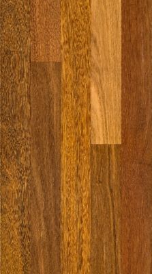 Bellawood 3 4 X 3 1 4 Select Brazilian Chestnut Solid Hardwood