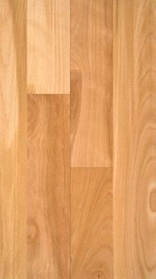 3/4" x 3-1/4" Natural Beech - BELLAWOOD | Lumber Liquidators