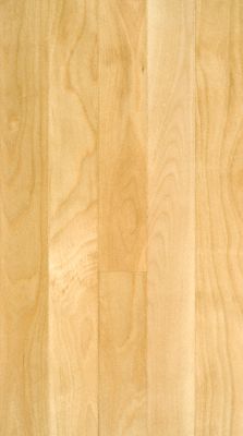 3/4" x 21/4" Select Birch BELLAWOOD Lumber Liquidators