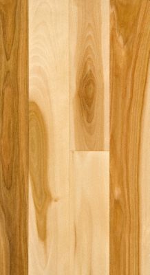 Bellawood 3 4 X 3 1 4 Natural Birch Lumber Liquidators