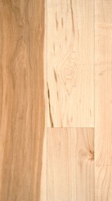BELLAWOOD 3/4" x 5" Natural Maple Lumber Liquidators Flooring Co.